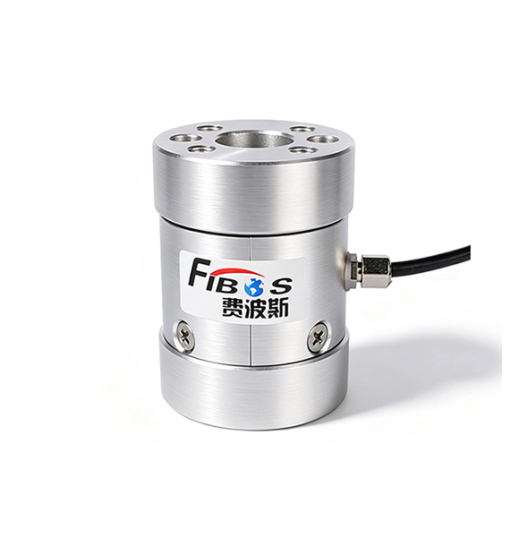 Torque Sensor