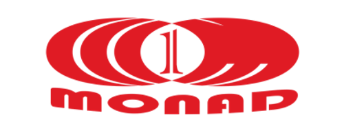 13-logo-monad