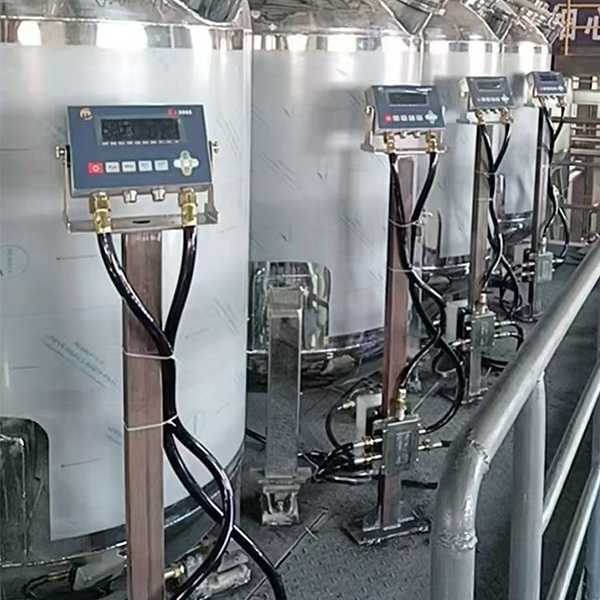 Case Studies Large-Scale Weighing Solutions (2)